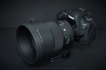 シグマ 105mm F1.4 DG HSM Art ／ 奈良 足ノ郷峠に咲く小紫陽花